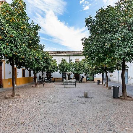 Apartamento Bhost - Regina V Córdoba Exterior foto